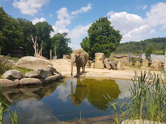 Zoo de Prague